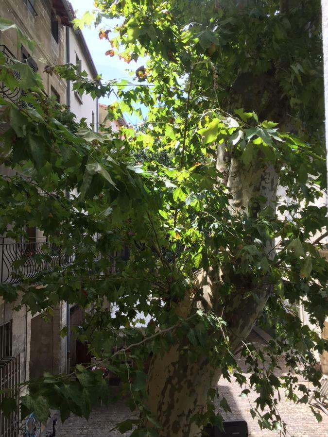 Studio Plaisance Avignon Eksteriør billede